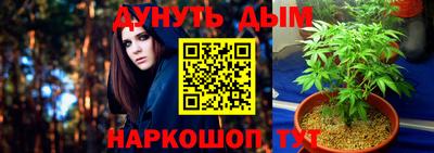 соль ск Будённовск