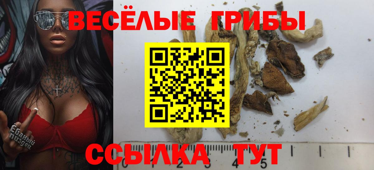 Салехард  Галлюциногенные грибы ЛСД  Вход с VPN 